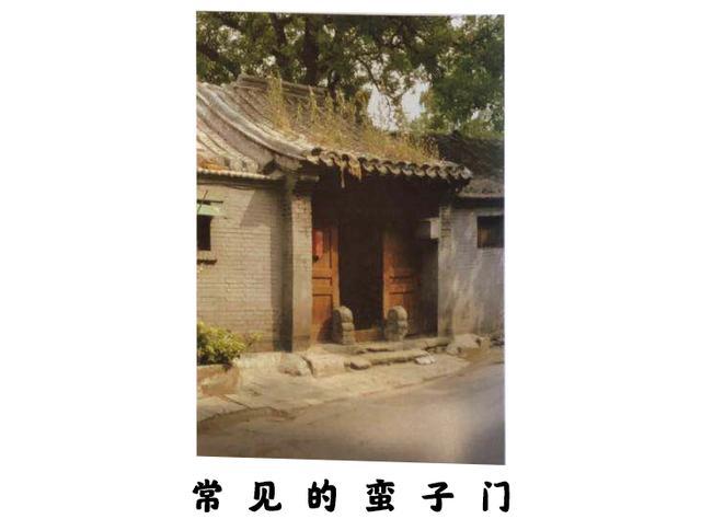 新奥门资料大全，探索与展望（第123期）