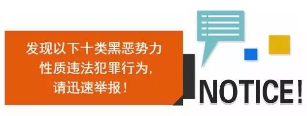 澳门正版资料大全资料与生肖卡，揭示背后的违法犯罪问题