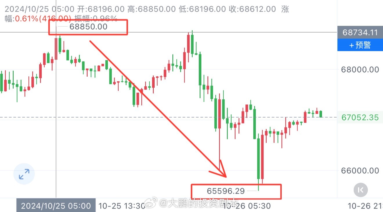 探索跑狗论坛版，77777与88888的交汇点