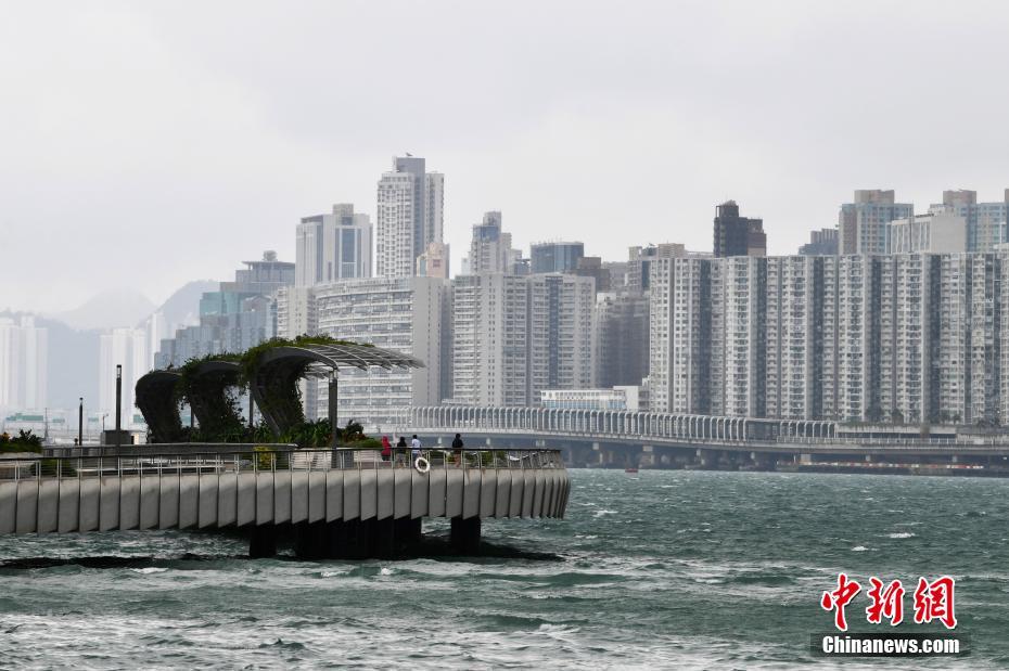 2024年香港正版资料免费大全——探索信息的海洋