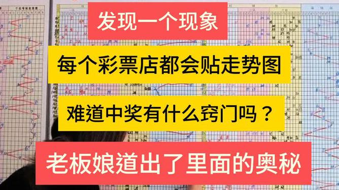 济南管家婆一票一码，揭秘高效物流管理的秘密武器