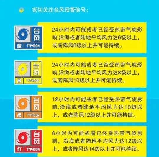 新奥彩资料免费期期中，深度解析与实用指南