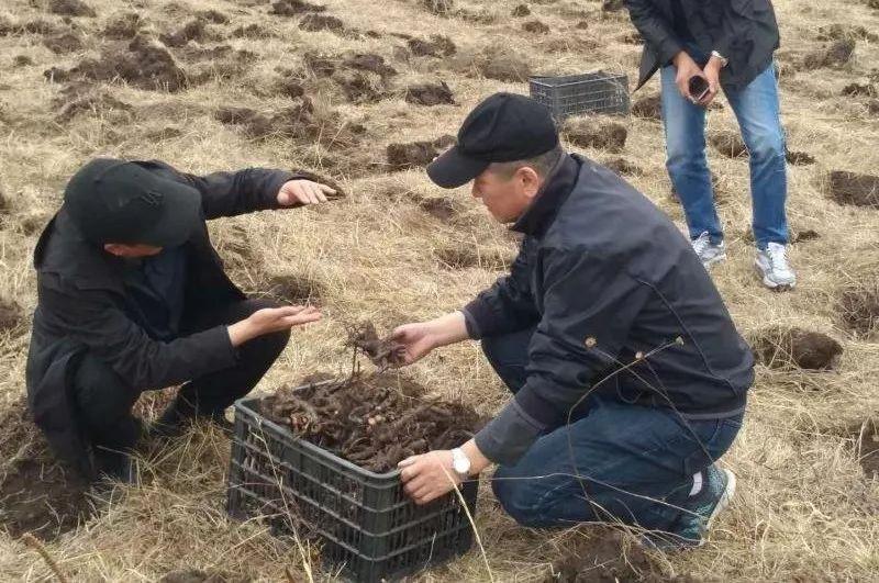 烟台澎湖山庄最新消息深度解析