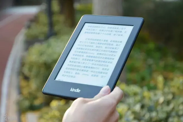 202管家婆一肖一吗,精准实施步骤_Kindle72.893