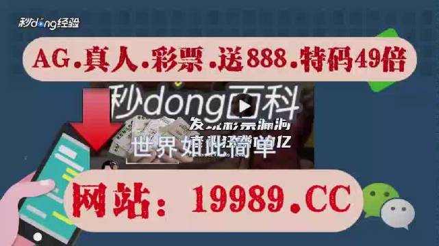 新2024年澳门天天开好彩,实地分析解析说明_顶级款26.12