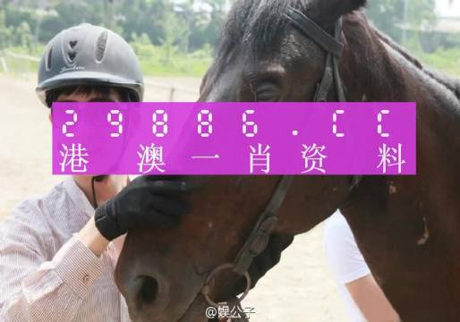 一肖一码澳门,经典解释定义_豪华版69.93