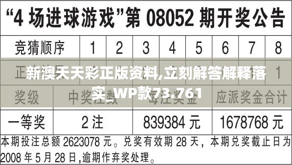 2024新澳天天彩免费资料,系统解析说明_N版67.333