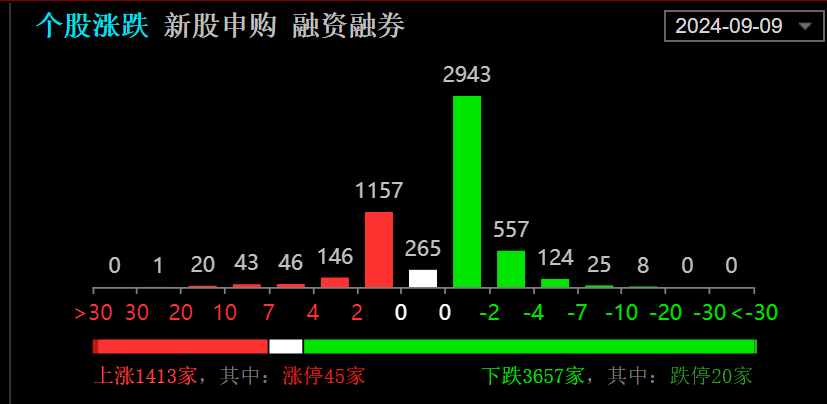 2024新澳门天天开好彩大全49,实地评估策略数据_set13.22