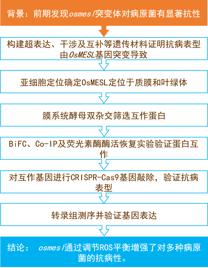 三肖必中三期资料,定性解读说明_Premium74.938