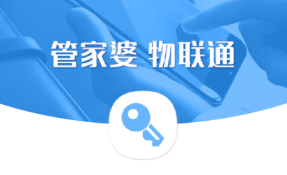 2024年澳门管家婆三肖100%,高效实施方法分析_界面版55.128