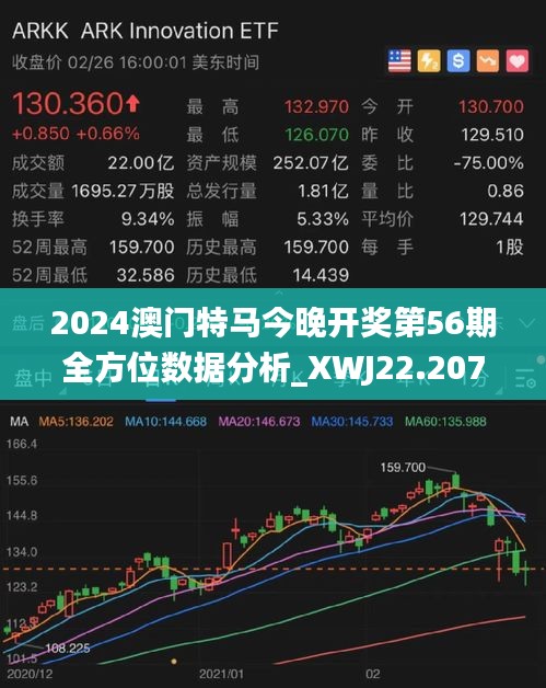 2024年今晚澳门开特马,实践验证解释定义_MR95.469