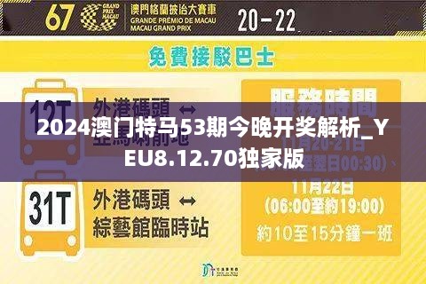 2024澳门今天特马开什么,实地评估策略_专属款80.384