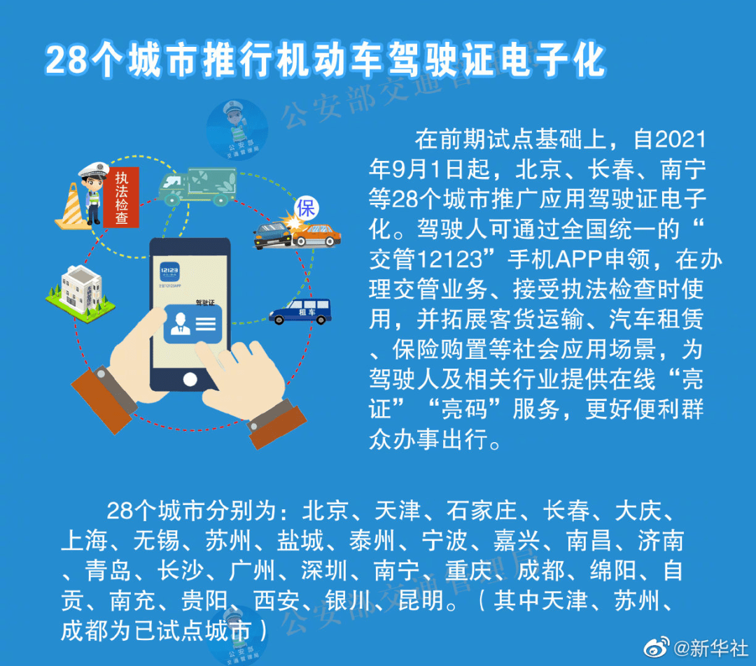 2024澳门天天开好彩资料_,效率资料解释落实_X45.963