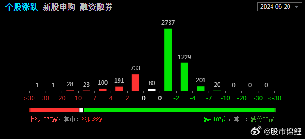 一肖一马,数据驱动执行方案_1080p57.566