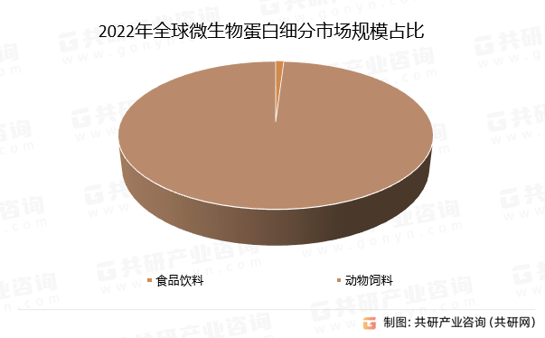 王中王资料大全，深度解析与全面概览