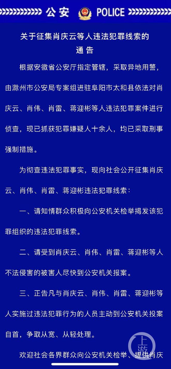 精准一肖一码一子一中，揭示背后的犯罪问题