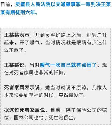 澳门天天开好彩，揭秘背后的真相与警示