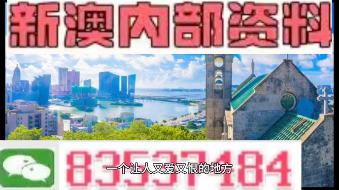 2024新澳门正版精准免费大全,新澳门正版精准免费大全与犯罪问题的探讨